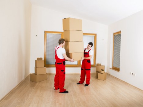 Support request for accessible removal company information